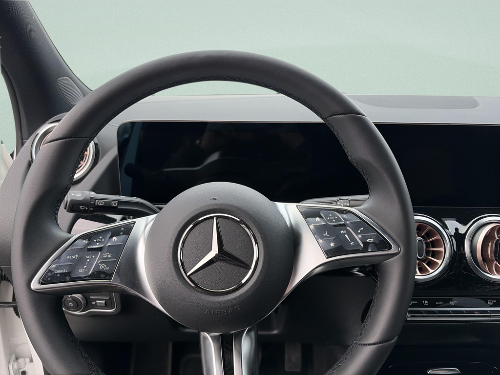 Mercedes-Benz EQA EQA 250+ (foto 9)